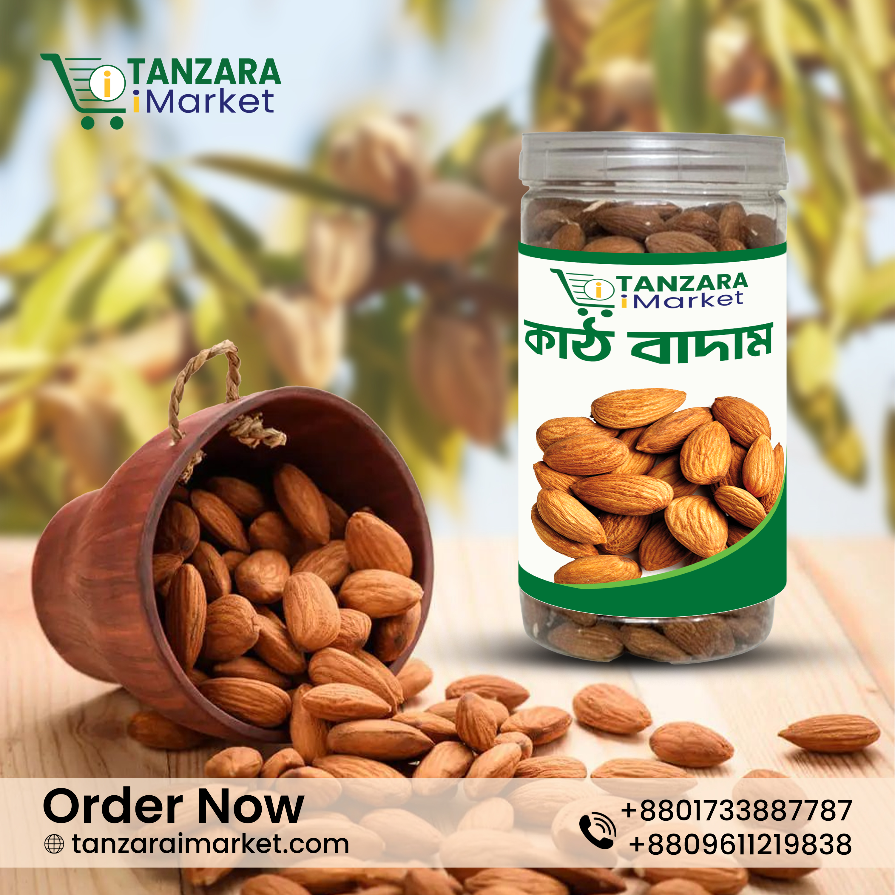 কাঠবাদাম