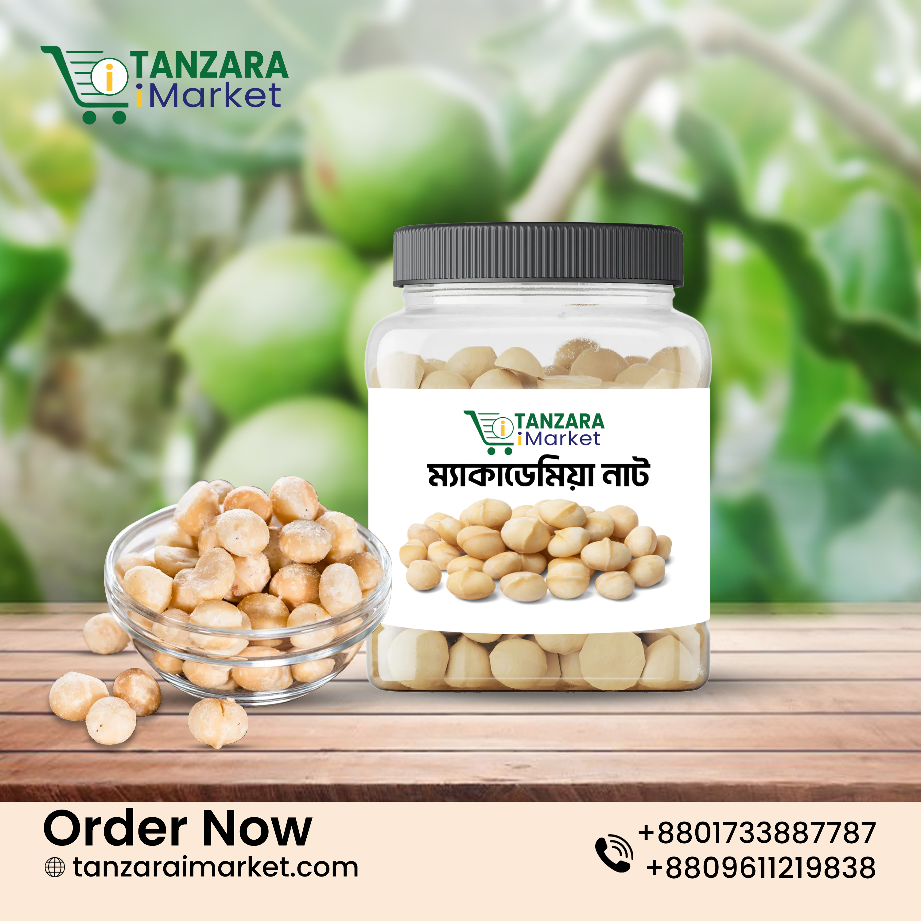 Macadamia (ম্যাকাডেমিয়া)